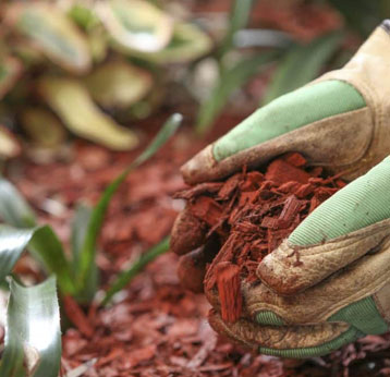 Mulching